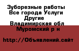 Зуборезные работы - Все города Услуги » Другие   . Владимирская обл.,Муромский р-н